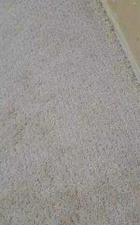 موکت