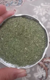 شوید خشک شده