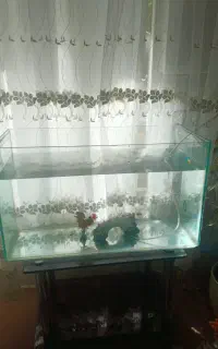 اکواریوم