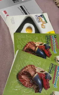 کتوب کنکور دهم یازدهم دوازدهم