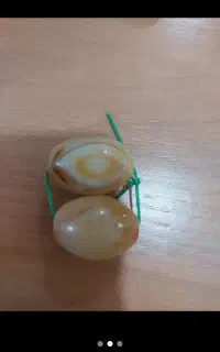 انواع مهره