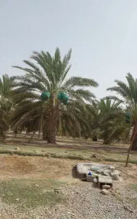 فروش موتور آب در لوت روتک