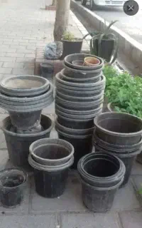 گلدان پلاستیک گلخانه سیاه