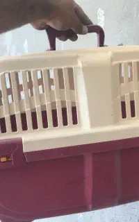 باکس پت
