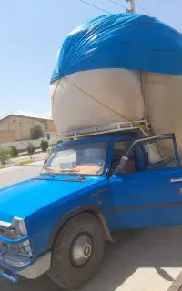 کاه گندم