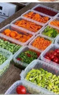 ظروف فریزری ومایکروفری
