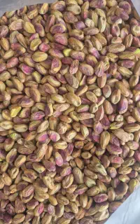 مغز پسته گلدار سبز و کال