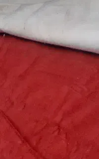 پالازموکت درحد