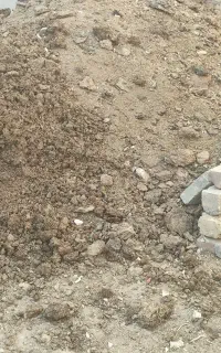 کود اسب