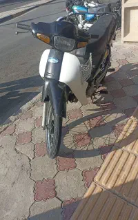 بهمن b