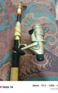 لنسر ماهیگیری