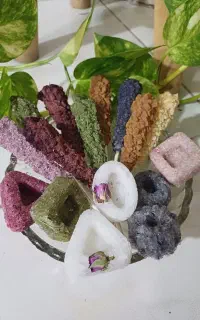 نبات دمنوشی