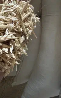 خوراک برای دام