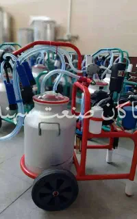 شیردوش/شیر دوش/گاو دوش/بز دوش/گوسفند دوش