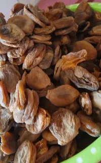 قیصی زردالو آفتابی