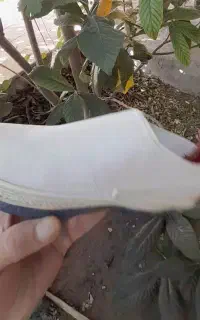 گیوه ملکی اباده ای اصل