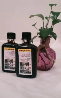ریکا سیاه درجه یک