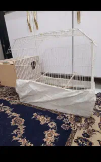 لونه‌عروس