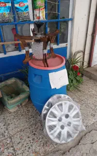 دبه زیتون دبه برنج لوتسر قالپاق