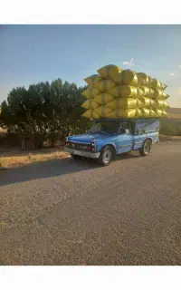 کاه