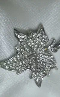 وسایل شخصی  بدلیجات