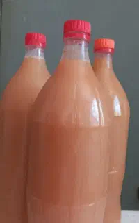 آبغوره امساله تازه