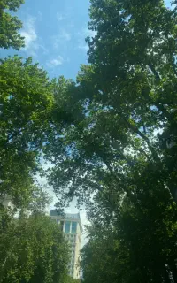 تدریس خصوصی زبان انگلیسی