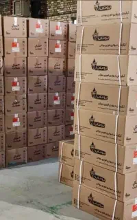 ابگرمکن بوتان فن دار مدل ۴۳۱۸ + دودکش