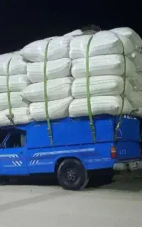 کاه گندم مغان