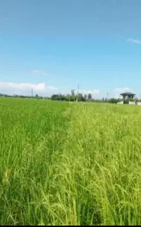 افزایش تناژ زمین باکوداورگانیک