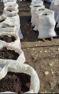 کود حیوانی گاوی پوسیده و خاک باغچه درجه یک
