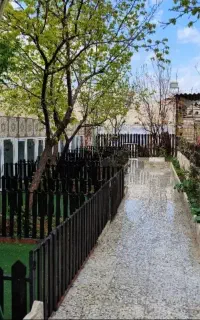 پانسیون سگ و آموزش سگ