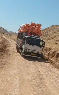 فروش کاه گندم