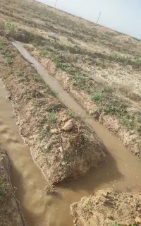 کارگر باغ چاله زنی راننده تراکتور همه کاره
