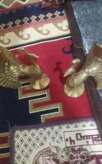 برنز طاووس