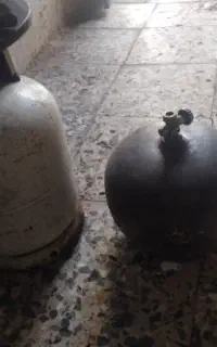 پیک نیک سالم