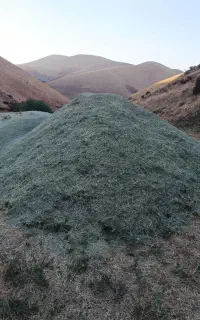 یونجه کیلو 45 بدون گیاه