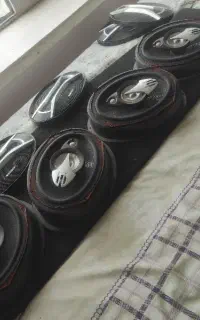 ظبط باند