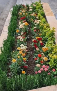 گلکاری،باغبانی،وهرس