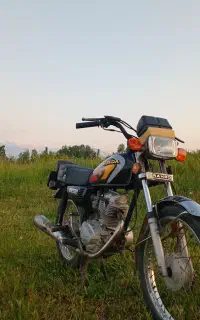 موتور سند دار