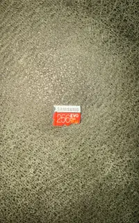 مموری کارت سامسونگ ۲۵۶ گیگ مدل evo plus