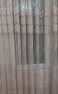 کلکسیون