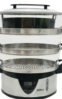 بخار پز فلر