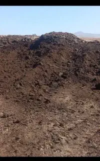 فروش کود گاوی