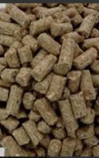 فروش عمده کنجاله کلرا