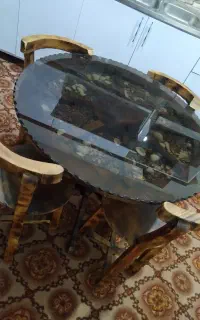 در حد نو