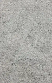 فروش جو بسیار باکیفیت دام