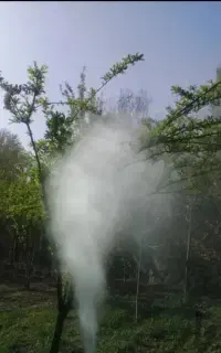 خدمات باغبانی درختکاری و سمپاشی وتیلر زدن