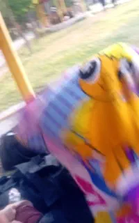 جذب فالوور