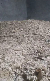 فروش نان خشک  نون خشک تحویل درمحل